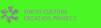 TOKYO CULTURE CREATION PROJECT