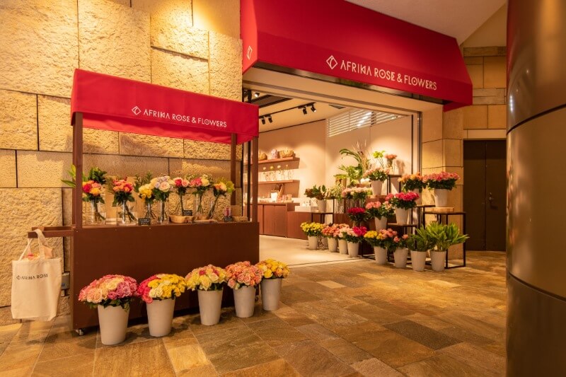 AFRIKA ROSE&FLOWERS